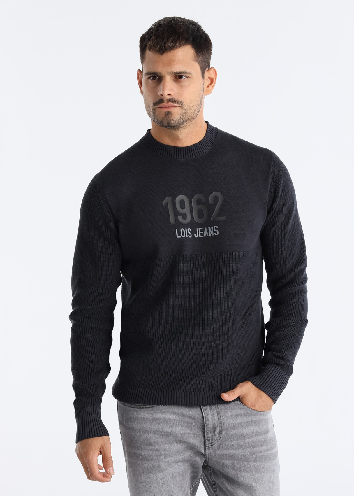 Pull  texture double col ras du cou avec imprimé