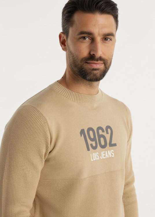 Pull  texture double col ras du cou avec imprimé