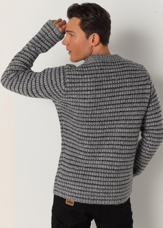 Pullover Col rond rayé | Gris